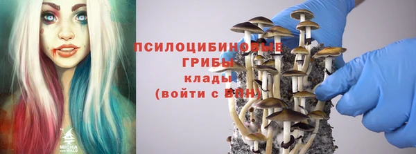 соль ск Няндома