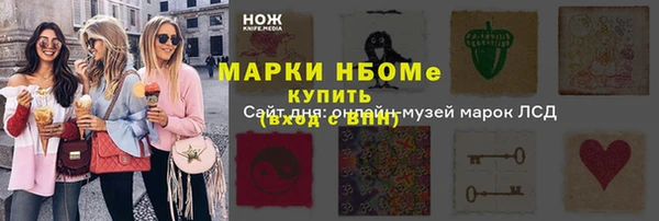 соль ск Няндома