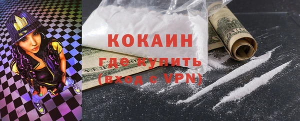 соль ск Няндома