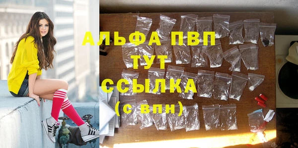 соль ск Няндома